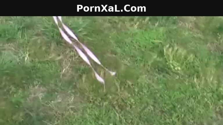 (Amateur Teen Slips) Behind The Shed Quickie